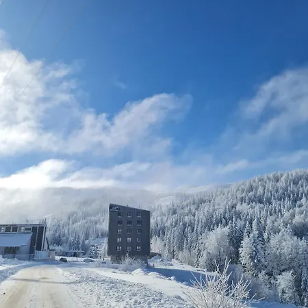 Apartman Nova Planina 02*03 *